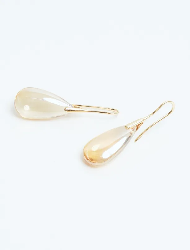 Women Brown Elegant Drop Earrings