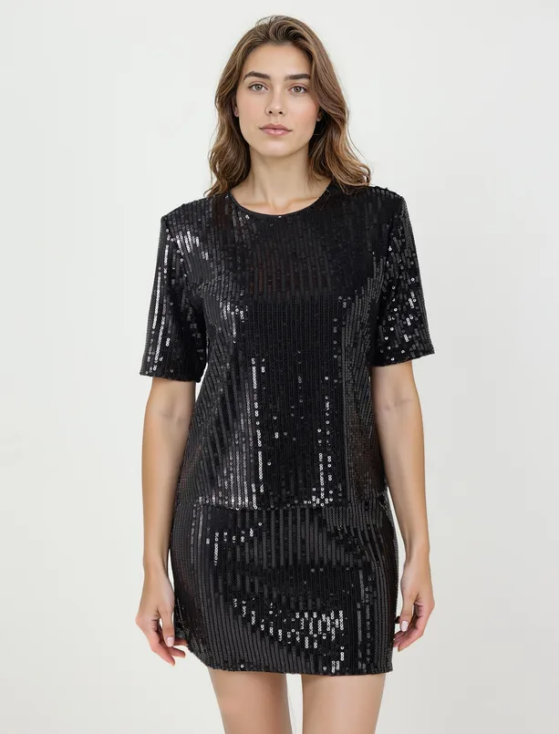 Women  Relaxed Fit Round Neck Sequin Knitted Blouse