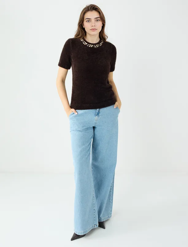 Women Brown Short Sleeve Embroidered Round Neck Sweater Sweater