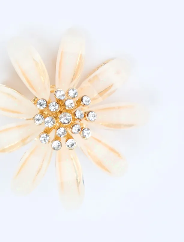 Women Beige Flower Figured Bright Stone Detailed Brooch