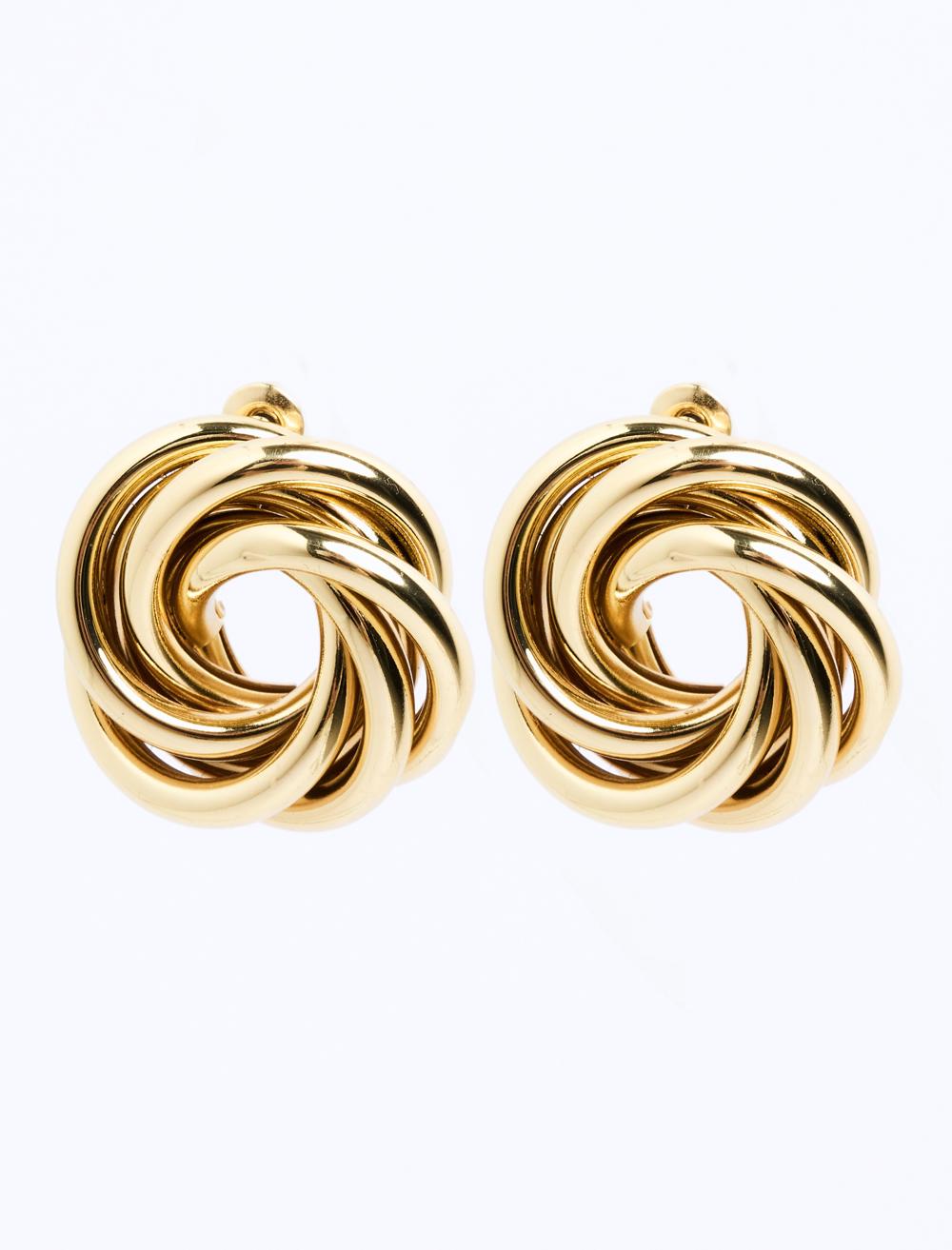 Burgu Desenli Modern Küpe