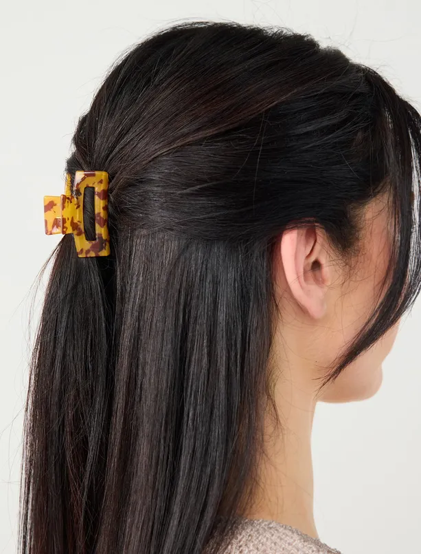 Bayan  Renk Geçişli Mandal Toka