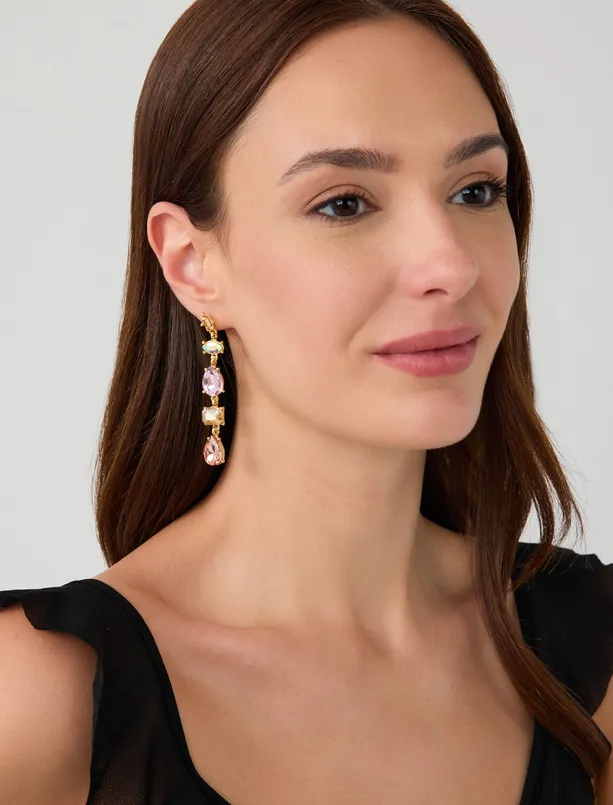 Women  Colorful Stone Detailed Dangle Earrings