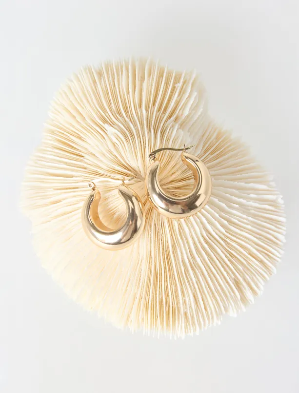 Bayan  Parlak Halka Küpe