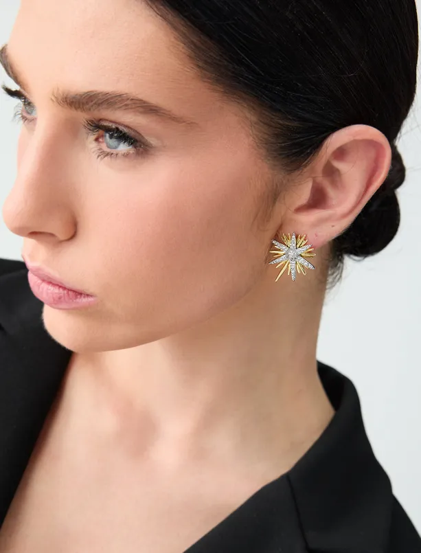 Bayan Gri İkili Yıldız Figürlü Küpe