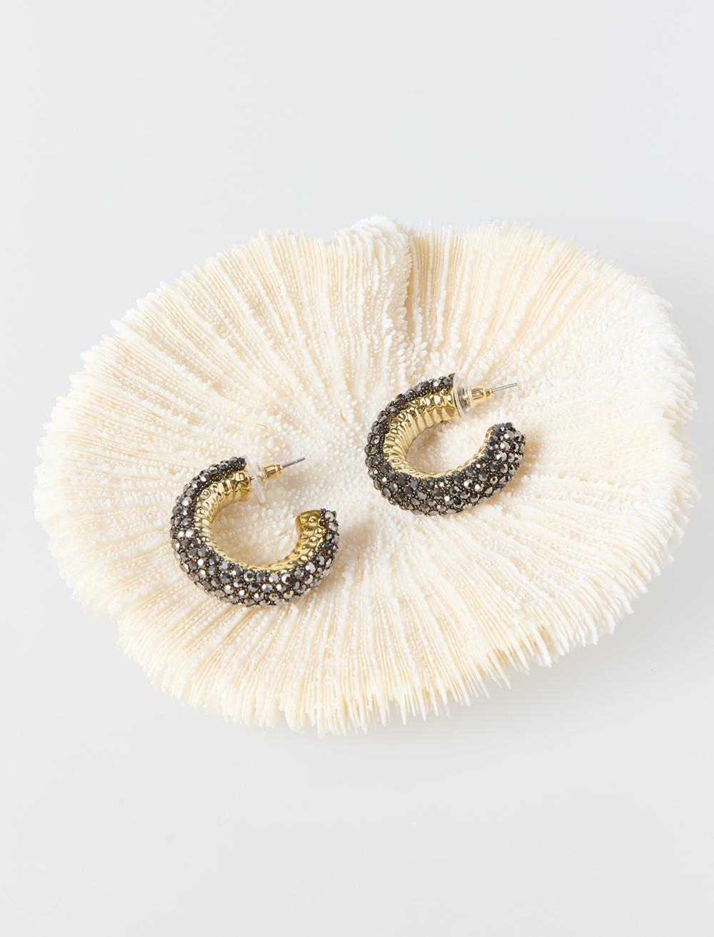 Parlak Taş Detaylı Kalın Yarım Halka Küpe